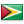 Virtual number in Guyana